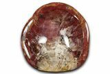 Colorful Polished Petrified Wood Bowl - Madagascar #346832-1